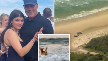 ghoulish-trolls-are-making-the-same-sick-joke-about-tourist-found-savaged-by-dingoes-on-aussie-beach