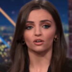 conservative-guest-schools-cnn-panel-on-the-truth-about-the-fake-news-that-ice-detained-a-5-year-old-(video)