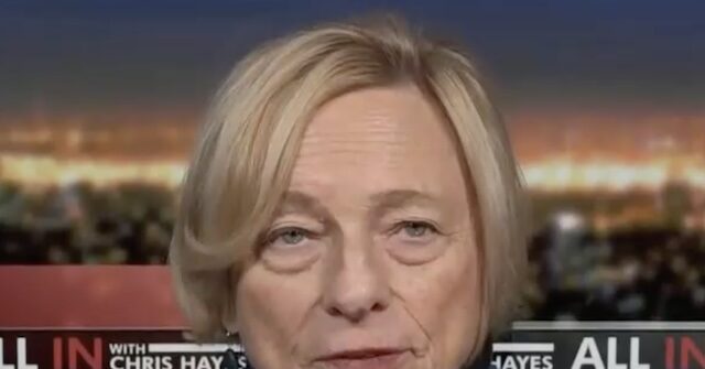 maine-gov.-mills:-ice,-dhs-should-have-future-funding-halted-‘until-questions-are-answered’