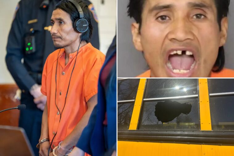 ‘monster’-rock-thrower-who-fractured-skull-of-8-year-old-girl-on-school-bus-is-an-illegal-migrant-from-mexico:-dhs