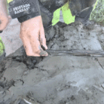 ‘well-preserved’-5,000-year-old-dog-buried-with-bone-dagger-unearthed-in-ancient-bog
