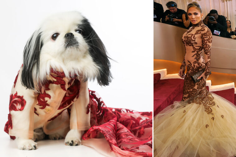 nyc-dogs-recreate-celeb-looks-from-the-golden-globes-red-carpet-at-first-ever-‘golden-paws’