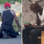 nyc-judge-set-to-decide-fate-of-dog-duct-taped-at-nyc-park