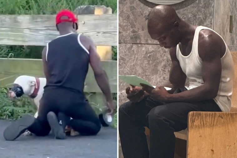 nyc-judge-set-to-decide-fate-of-dog-duct-taped-at-nyc-park