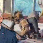 breaking:-minnesota-governor-tim-walz-rages-against-federal-agents-after-fatal-shooting,-calls-for-white-house-to-pull-ice-from-the-state-–-ignores-that-suspect-was-armed-with-a-gun