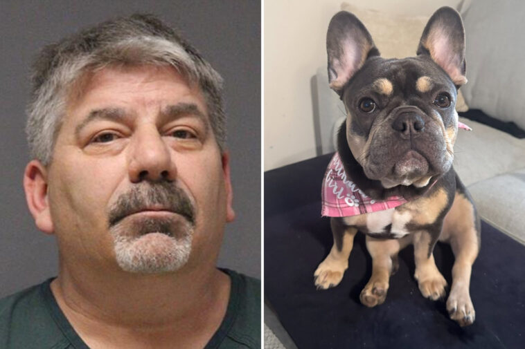 dog-sitter-step-dad-allegedly-shoots-beloved-bulldog-in-the-face,-killing-it