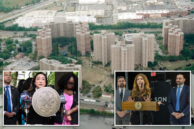 nyc-pol-seeks-overhaul-of-woke,-‘financially-crippling’-gas-to-electric-stove-conversion-law