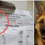 anti‑ice-activists-sink-to-new-low-—-border-patrol-k‑9-hit-with-political-threat-at-minneapolis-kennel