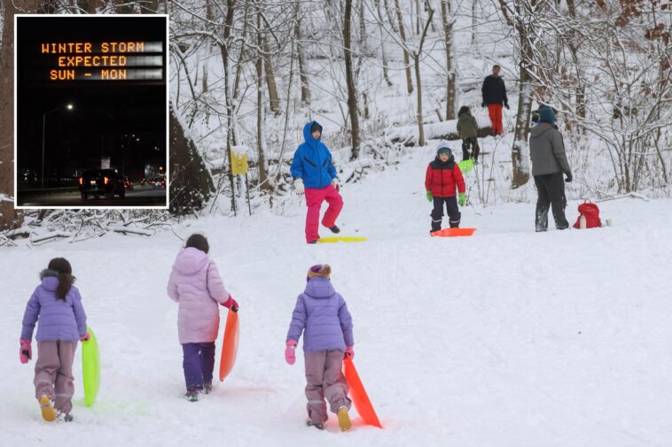 snow-loving-new-yorkers-get-creative-with-their-sleds-ahead-of-major-winter-storm-fern