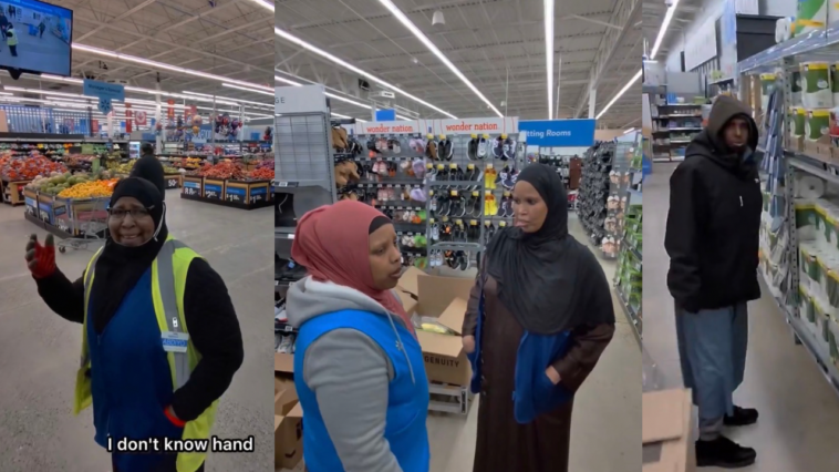 hilarious!-somali-walmart-employees-in-minnesota-put-68-average-iq-score-on-full-display-when-asked-for-hand-warmers-–-“chicken?”-(video)