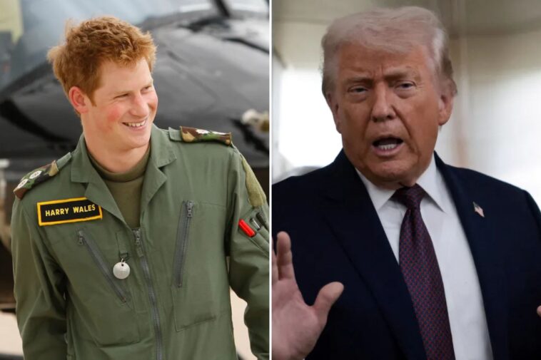 prince-harry-fires-back-at-trump-over-nato-criticism:-‘i-lost-friends’-in-afghanistan
