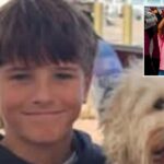 australian-boy,-12,-dies-following-shark-attack-while-swimming-at-popular-cliff-jumping-spot