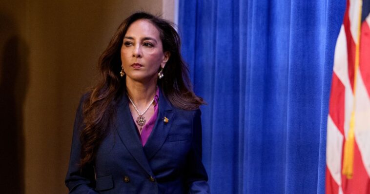 doj-will-pursue-charges-against-don-lemon-to-‘ends-of-the-earth’-over-civil-rights-violations:-harmeet-dhillon