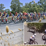 kangaroos-cause-carnage-during-final-stage-of-bike-race
