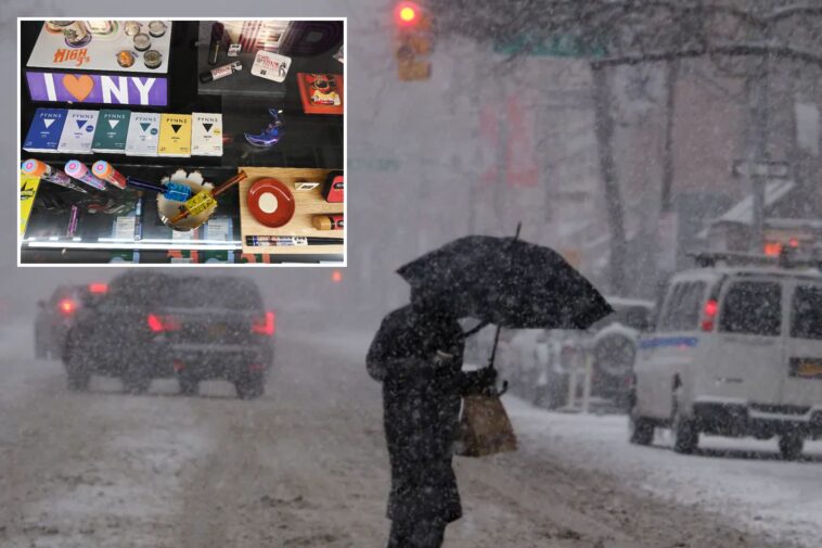 bread,-eggs,-milk—-and-weed!-potheads-swarm-cannabis-shops-to-prep-for-blizzard