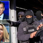 li-dems-cross-aisle-to-support-ice-funding-boost-—-sparking-wrath-of-party