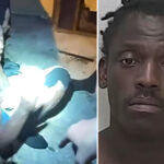 shirtless-florida-man-sentenced-for-diving-through-taco-bell-window,-robbing-place-with-‘large-rock’