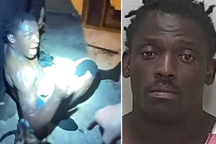 shirtless-florida-man-sentenced-for-diving-through-taco-bell-window,-robbing-place-with-‘large-rock’