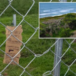 spiteful-bay-area-landowner-builds-fence-to-block-beachgoers-from-public-shoreline,-threatens-to-shoot-‘trespassers’