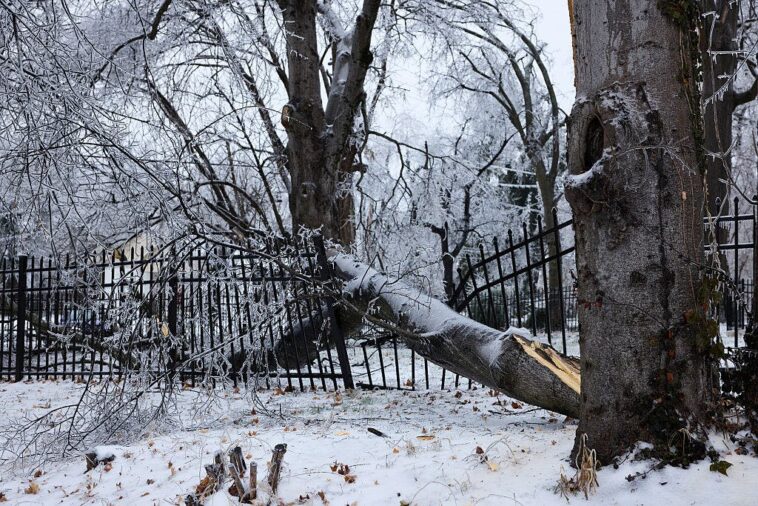 millions-without-power-as-massive-winter-storm-batters-swaths-of-the-united-states