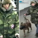 brute-sicced-dog-on-stranger-during-dispute-in-nyc-subway-station:-cops