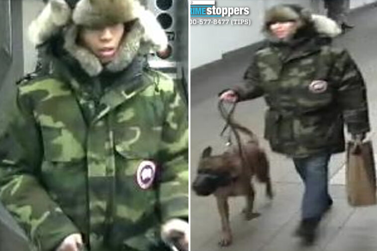 brute-sicced-dog-on-stranger-during-dispute-in-nyc-subway-station:-cops