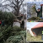 number-of-christmas-trees-recycled-at-nyc-‘mulchfest’-drop,-treeflation-may-be-to-blame
