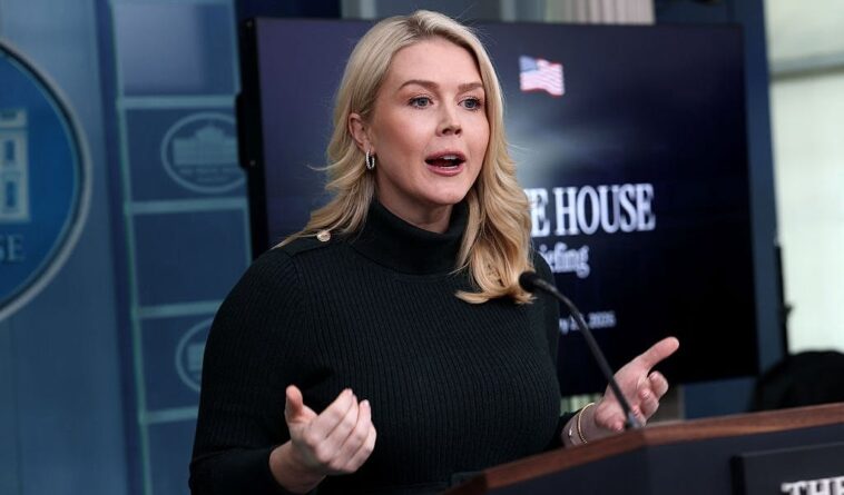 leavitt-rips-democrats-for-inciting-‘left-wing-agitators-and-crazy-people’-against-feds