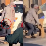 dhs-investigating-whether-alex-pretti’s-gun-accidentally-fired-—-and-sparked-deadly-minneapolis-shooting:-sources