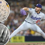 dodgers’-alex-vesia-reveals-rams’-touching-gesture-to-late-daughter-during-nfc-championship-game