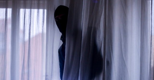 prison-abolitionist-claims-reporting-her-gang-rape-would-have-been-‘silly-and-strange’