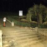 mountain-lion-sightings-put-san-francisco’s-posh-pacific-heights-on-high-alert