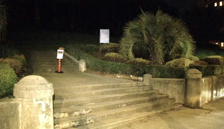 mountain-lion-sightings-put-san-francisco’s-posh-pacific-heights-on-high-alert