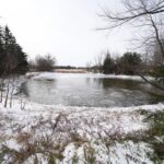 massive-winter-storm-leaves-3-young-brothers-dead-after-falling-through-icy-texas-pond