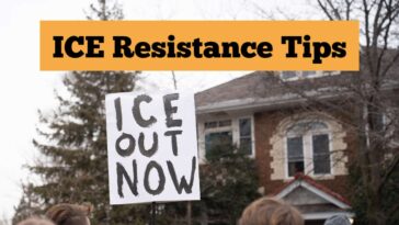 want-to-resist-ice?-here-are-12-things-you-can-do-today