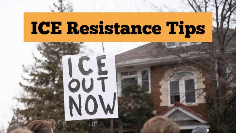 want-to-resist-ice?-here-are-12-things-you-can-do-today