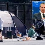 governor-gavin-newsom’s-$236m-program-for-california’s-mentally-ill-has-helped-just-22-people-in-four-years:-report