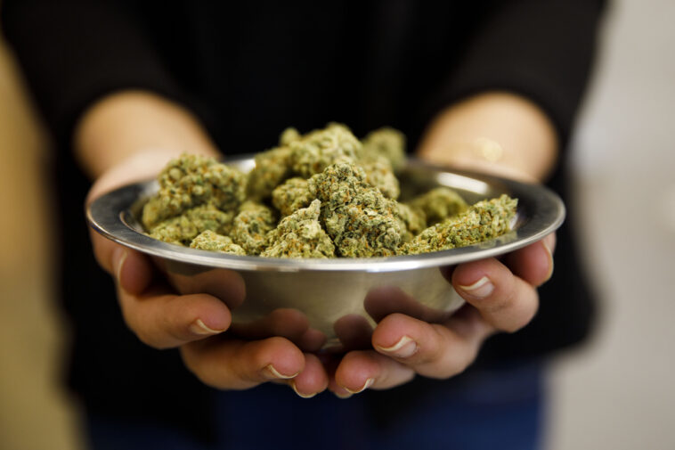 doc-fumes-as-santa-monica-launches-woke-program-to-help-ex-crooks-open-pot-shops-in-drug-plagued-beach-city