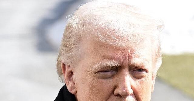 president-trump-on-alex-pretti:-‘i-don’t-like-the-fact-that-he-was-carrying-a-gun’