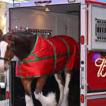 ‘american-icons’:-budweiser-goes-full-patriot-in-2026-super-bowl-commercial