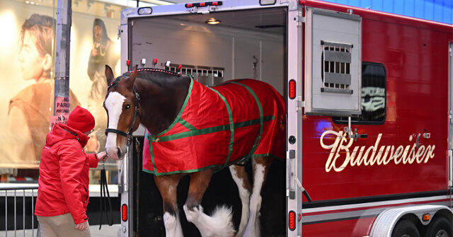 ‘american-icons’:-budweiser-goes-full-patriot-in-2026-super-bowl-commercial