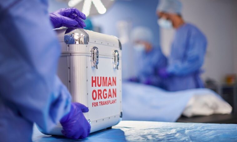 house-launches-investigation-into-hospitals-allegedly-letting-foreign-patients-jump-organ-transplant-lines