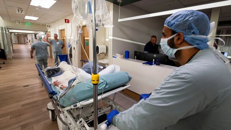 medical-watchdog-challenges-key-study-used-to-justify-dei-health-policies:-‘scientifically-unsound’