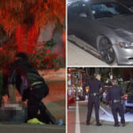 hit-and-run-maserati-driver-mows-down-80-year-old-man-and-his-dog-in-suburban-la-neighborhood