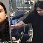 man-who-nearly-beat-chicago-train-passenger-to-death-walks-free-with-no-prison-time:-report