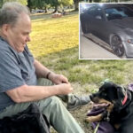 holocaust-survivor-ided-as-man,-80,-killed-in-maserati-hit-and-run-while-walking-his-dog