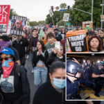 anti-ice-chaos-as-lefty-la-dems-support-shutdown-of -schools,-businesses-for-nationwide-protest