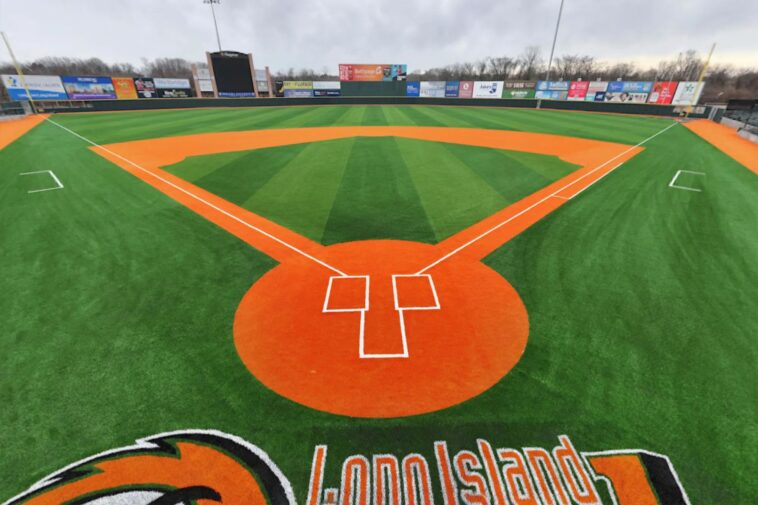 long-island-ducks-purchased-by-company-connected-with-mlb’s-rangers