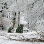 three-young-brothers-killed-in-winter-storm,-bringing-death-toll-to-more-than-60