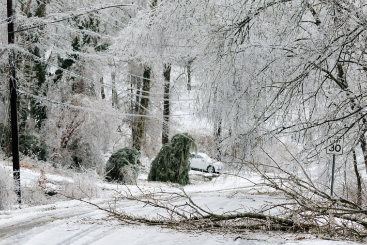 three-young-brothers-killed-in-winter-storm,-bringing-death-toll-to-more-than-60